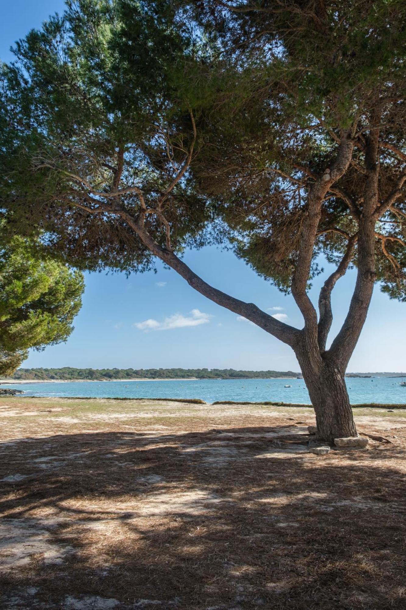 Villa Alma Libre, Planta Baja a Escasos Metros del Mar Colonia de Sant Jordi Exterior foto